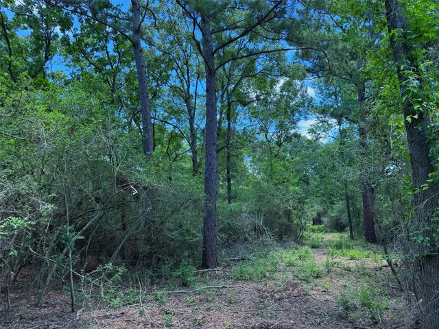 TBD Cr 296, Oakwood, TX 75855