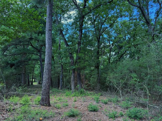 TBD Cr 296, Oakwood, TX 75855