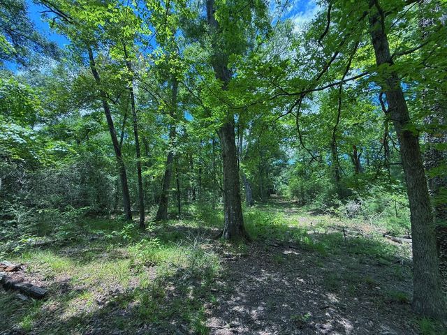 TBD Cr 296, Oakwood, TX 75855