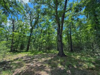 TBD Cr 296, Oakwood, TX 75855