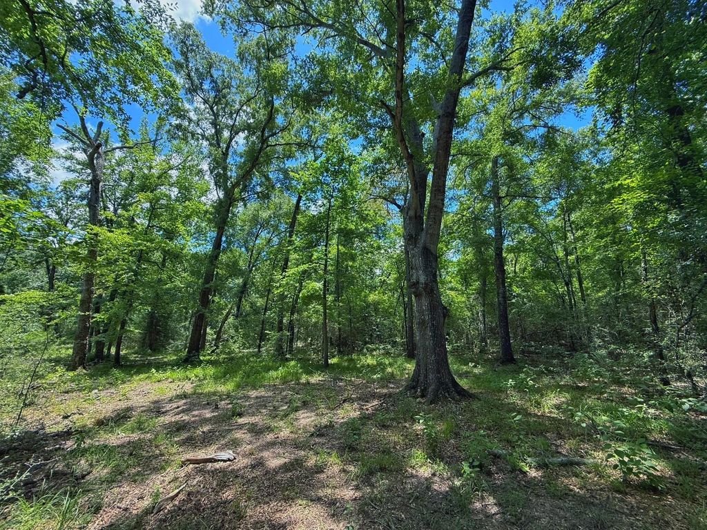 TBD Cr 296, Oakwood, TX 75855