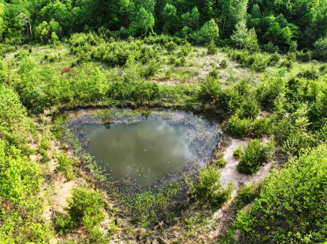 1600 Sandhill Road, Irvine, KY 40336