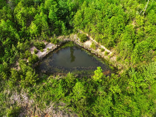 1600 Sandhill Road, Irvine, KY 40336