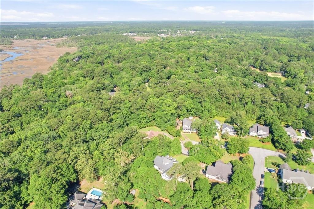 Image 67 of property listing at 37 Macbeth Court S, Richmond Hill, GA 31324