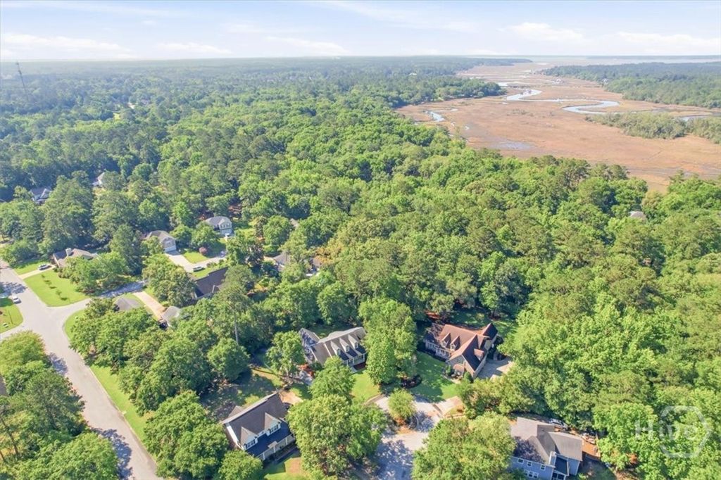Image 68 of property listing at 37 Macbeth Court S, Richmond Hill, GA 31324