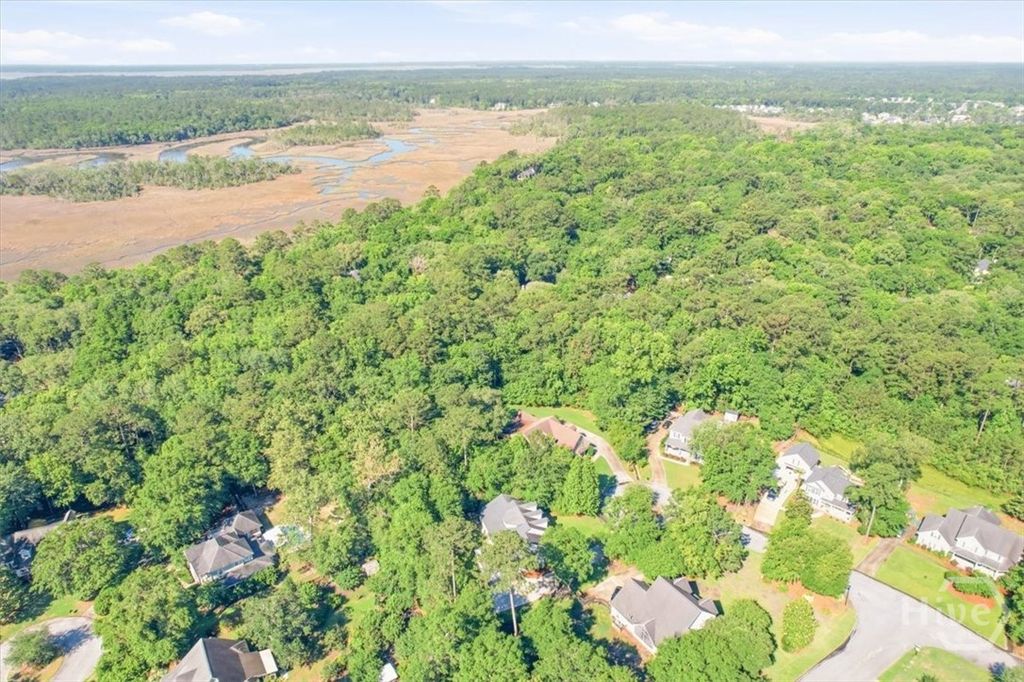 Image 71 of property listing at 37 Macbeth Court S, Richmond Hill, GA 31324