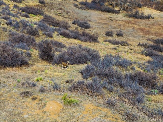 21764 Silver Meadow Ln, Parker, CO 80138