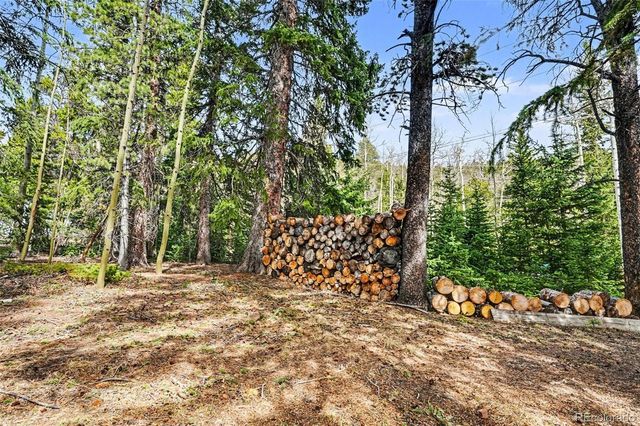 100 Aspen Lane, Evergreen, CO 80439