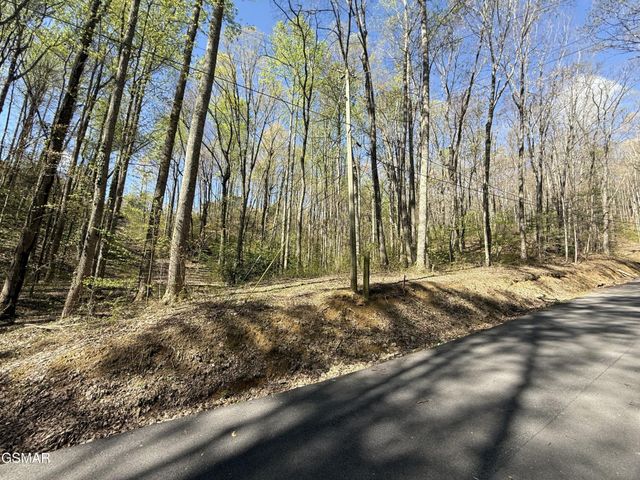 1440 Laurel Road, Gatlinburg, TN 37738