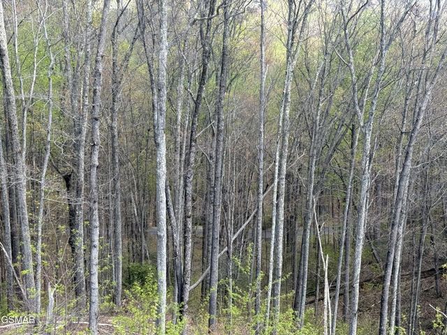 1440 Laurel Road, Gatlinburg, TN 37738