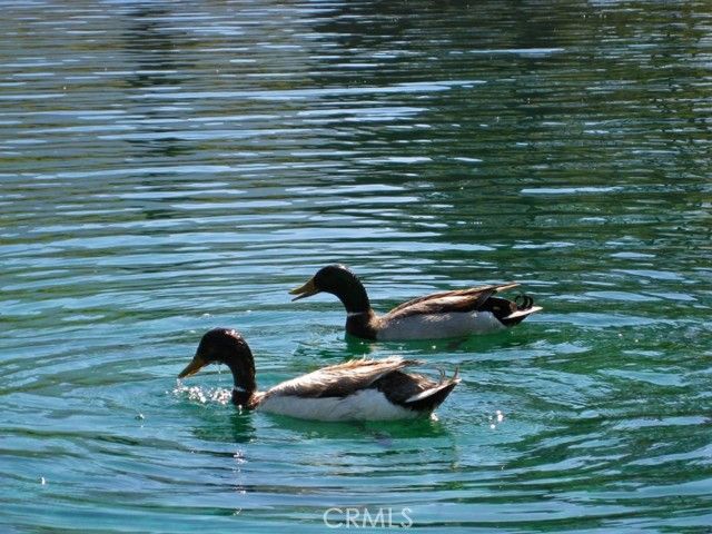 2041 Symonds, Pine Mtn Club, CA 93222