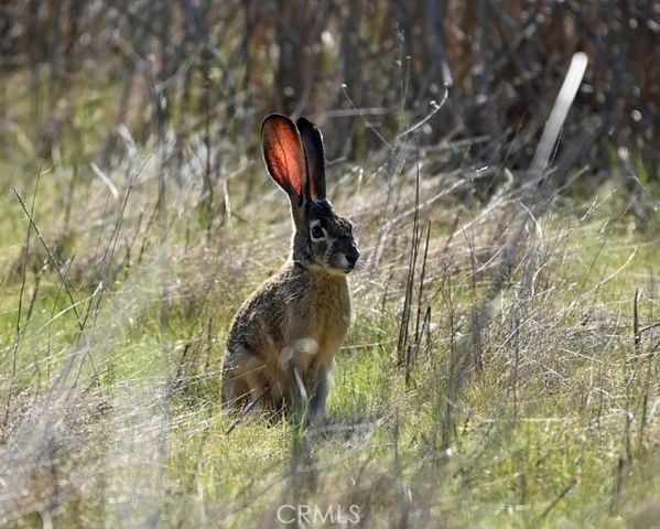 2041 Symonds, Pine Mtn Club, CA 93222