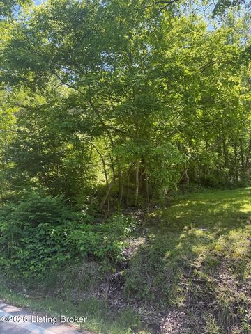 2502 Blevins Gap Rd, Louisville, KY 40272