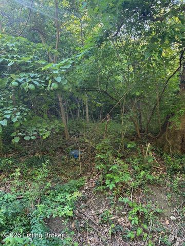 2502 Blevins Gap Rd, Louisville, KY 40272