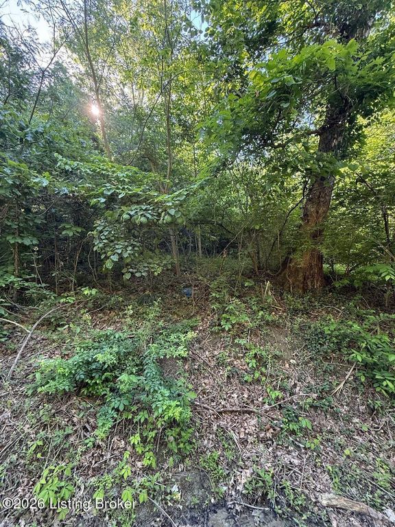 2502 Blevins Gap Rd, Louisville, KY 40272
