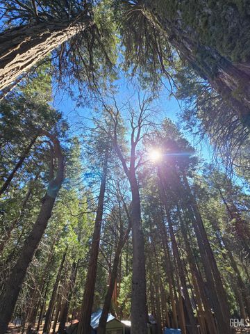 10638 Pine Drive, Wofford Heights, CA 93285