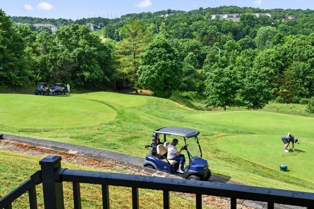 351 S Wildwood Drive Bldg 12 Unit 2, Branson, MO 65616