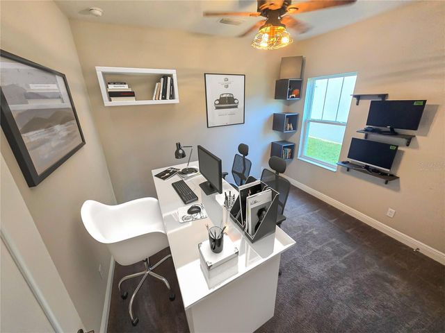 4633 BALLANTRAE BOULEVARD, Land O Lakes, FL 34638