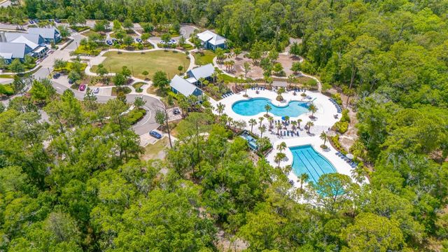 4633 BALLANTRAE BOULEVARD, Land O Lakes, FL 34638