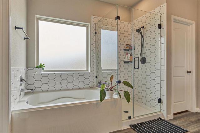 20112 Crystal Falls Court, Montgomery, TX 77316