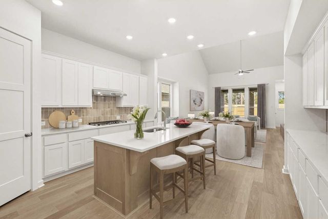 13039 Wandering Ridge Lane, Conroe, TX 77302