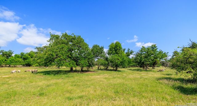 8218 N US HWY 87, Fredericksburg, TX 78624