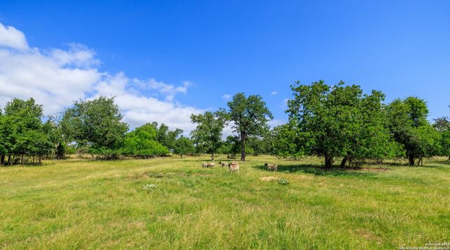 8218 N US HWY 87, Fredericksburg, TX 78624