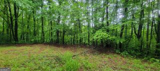 0 Bonanza Lane, Tiger, GA 30576
