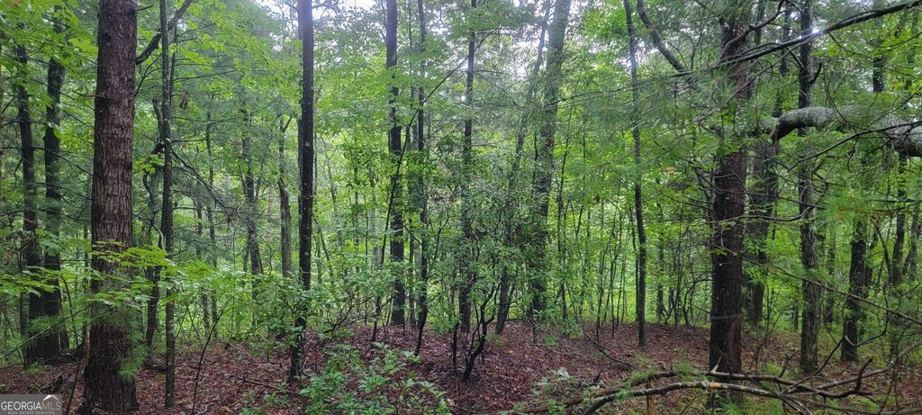 0 Bonanza Lane, Tiger, GA 30576 — photo 3