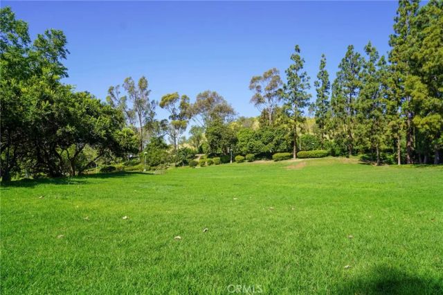 17 Rippling Stream, Irvine, CA 92603