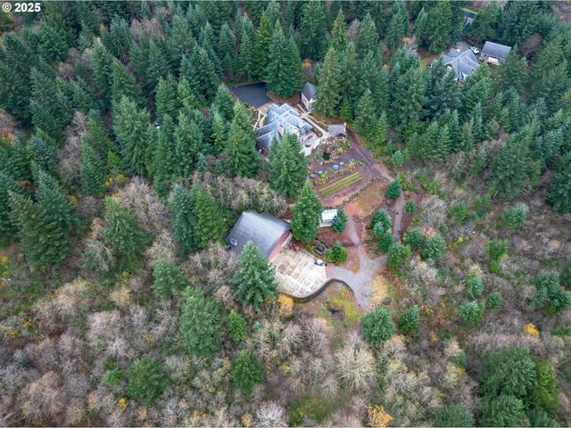 29510 Ne 85TH Cir, Camas, WA 98607