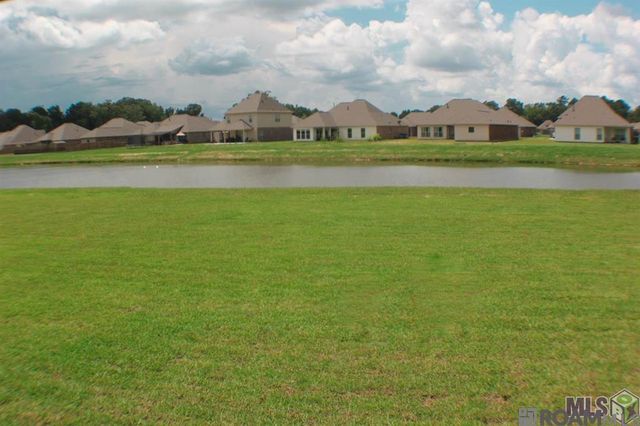 17609 Eagles Perch Dr, Prairieville, LA 70769