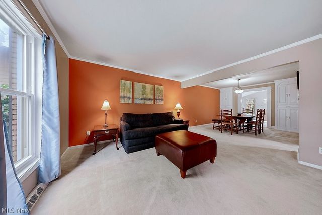 6982 Carol Drive, Independence, OH 44131