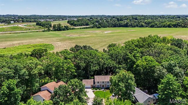 6 White Bark Court, Unincorporated, MO 63304