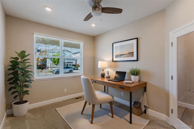 378 Silver Rock Trail, Castle Rock, CO 80104