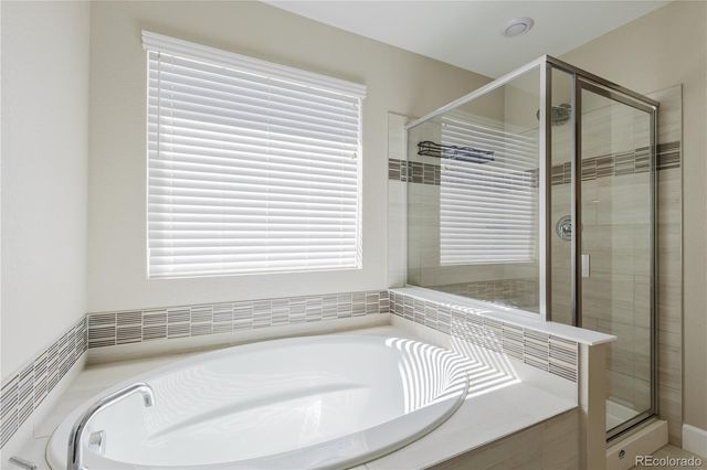 378 Silver Rock Trail, Castle Rock, CO 80104