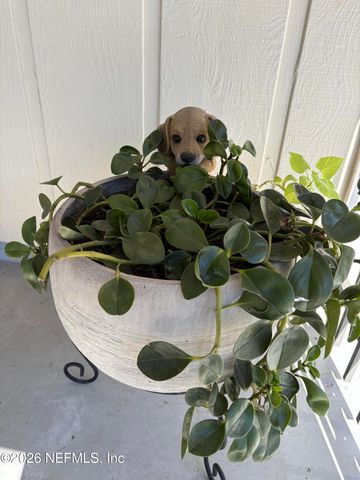 791 WESTGATE Drive, Jacksonville, FL 32221