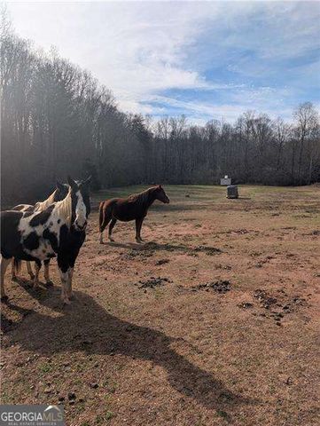 330 Davidson Road, Cleveland, GA 30528