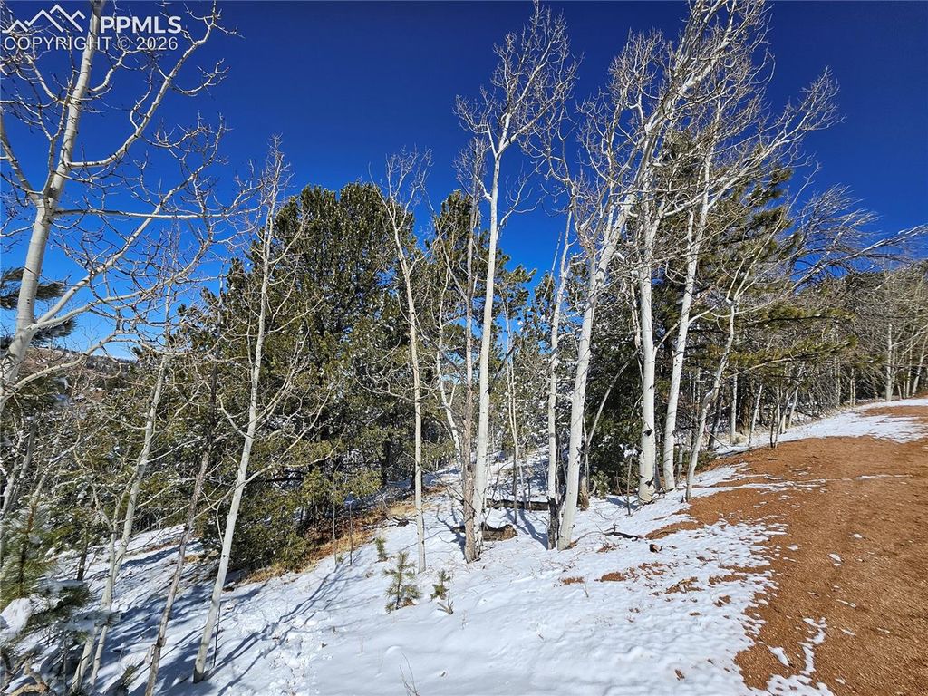 829 Princess Road, Cripple Creek, CO 80813 — exterior