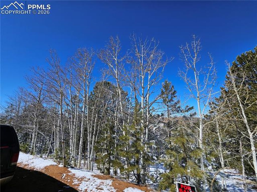 829 Princess Road, Cripple Creek, CO 80813 — photo 2