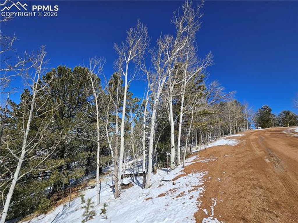 829 Princess Road, Cripple Creek, CO 80813 — photo 4