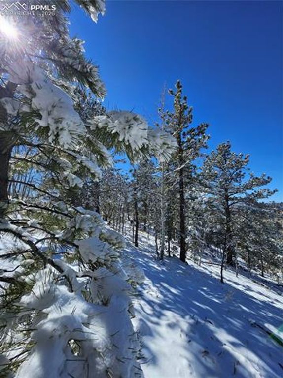 829 Princess Road, Cripple Creek, CO 80813 — photo 5