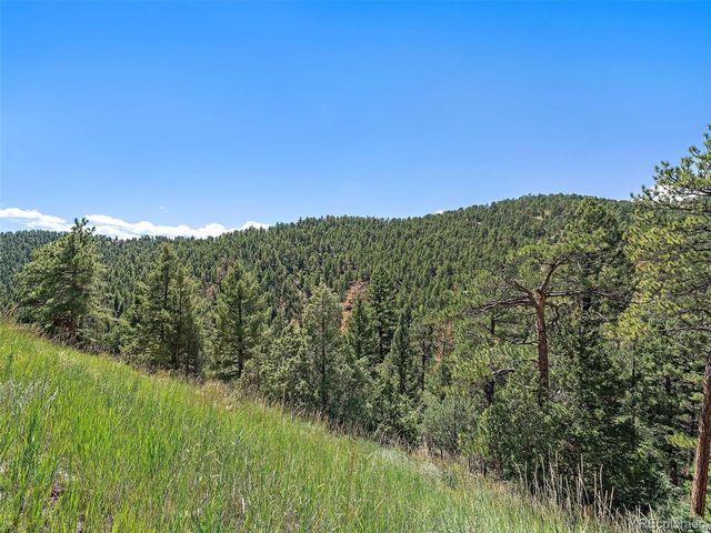 13809 Elsie Road, Conifer, CO 80433