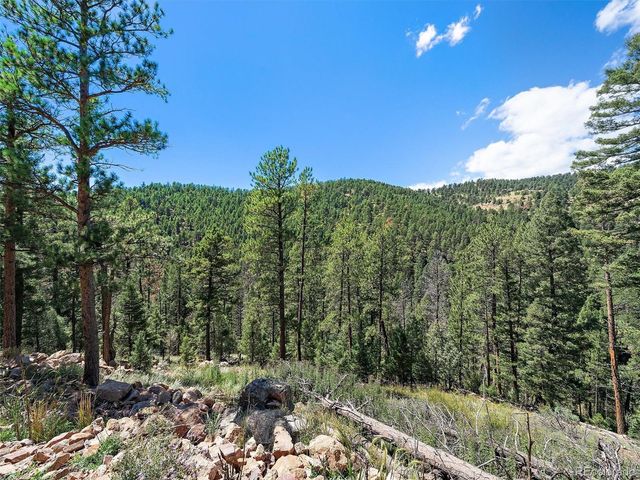 13809 Elsie Road, Conifer, CO 80433