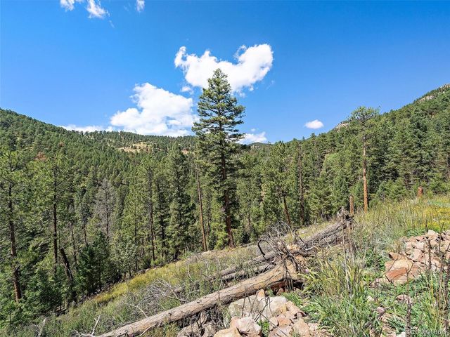 13809 Elsie Road, Conifer, CO 80433