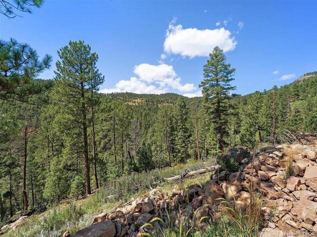 13809 Elsie Road, Conifer, CO 80433