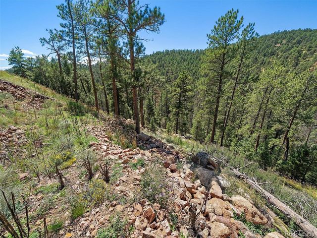 13809 Elsie Road, Conifer, CO 80433