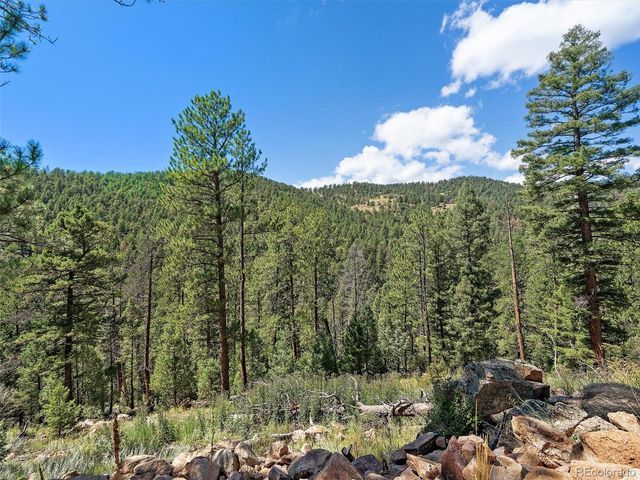 13809 Elsie Road, Conifer, CO 80433