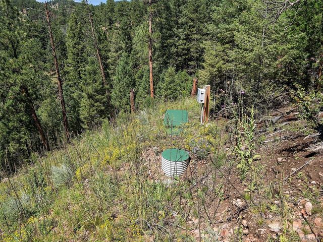 13809 Elsie Road, Conifer, CO 80433