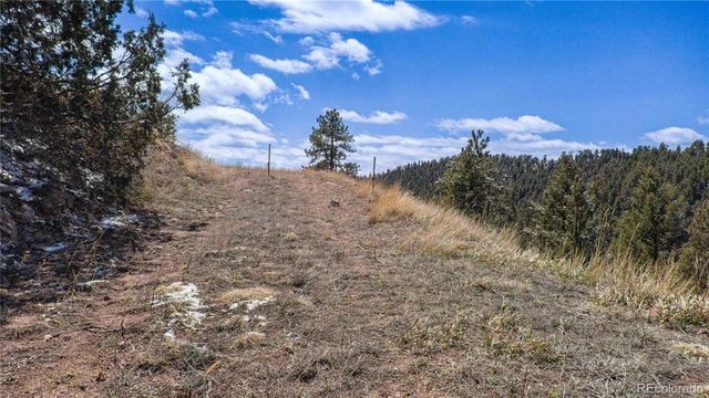 13809 Elsie Road, Conifer, CO 80433